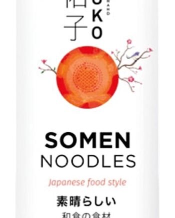 Ayuko Somen Nudler 300