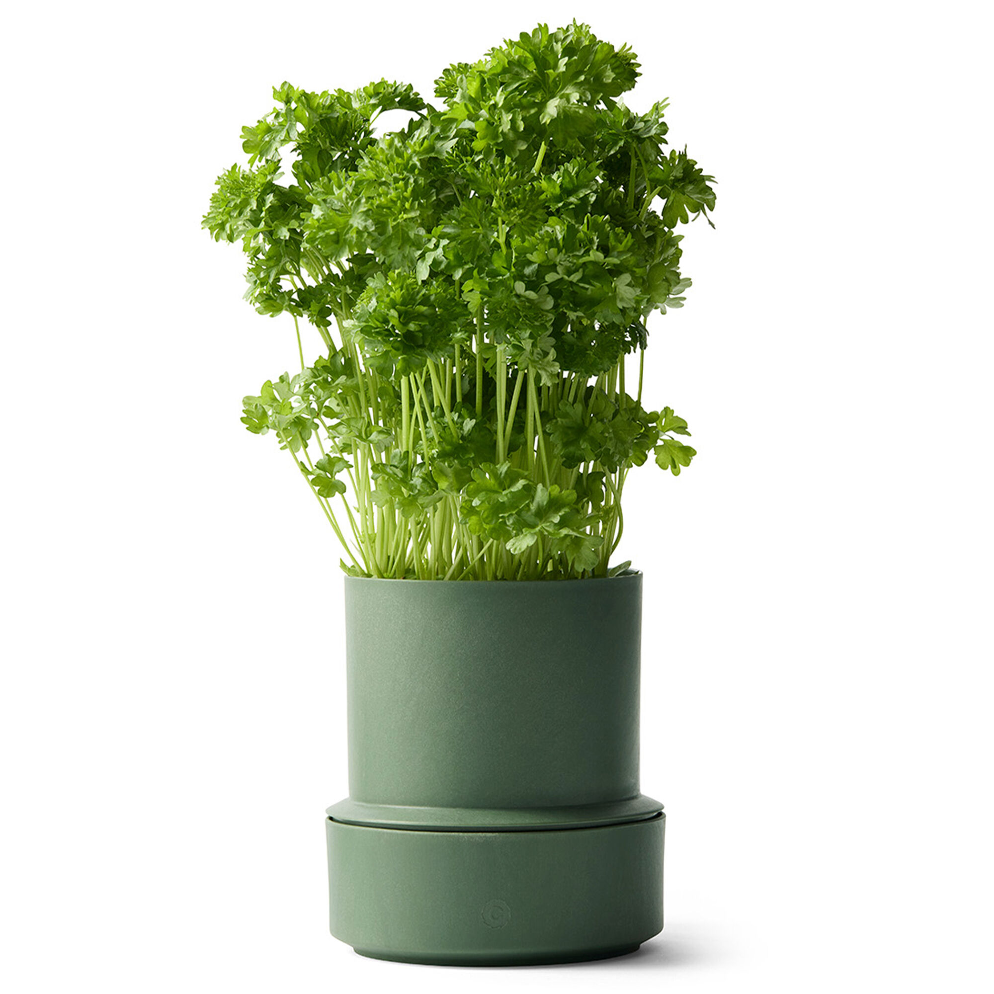 Crushgrind Billund Selvvandings Potte  Parsley