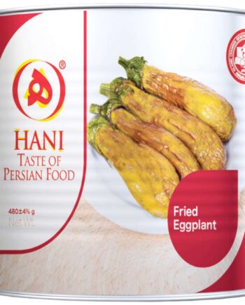 Hani Fried Aubergine 480