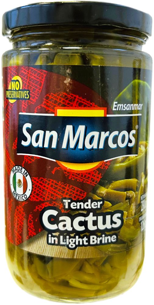 San Marcos Tender Cactus 230
