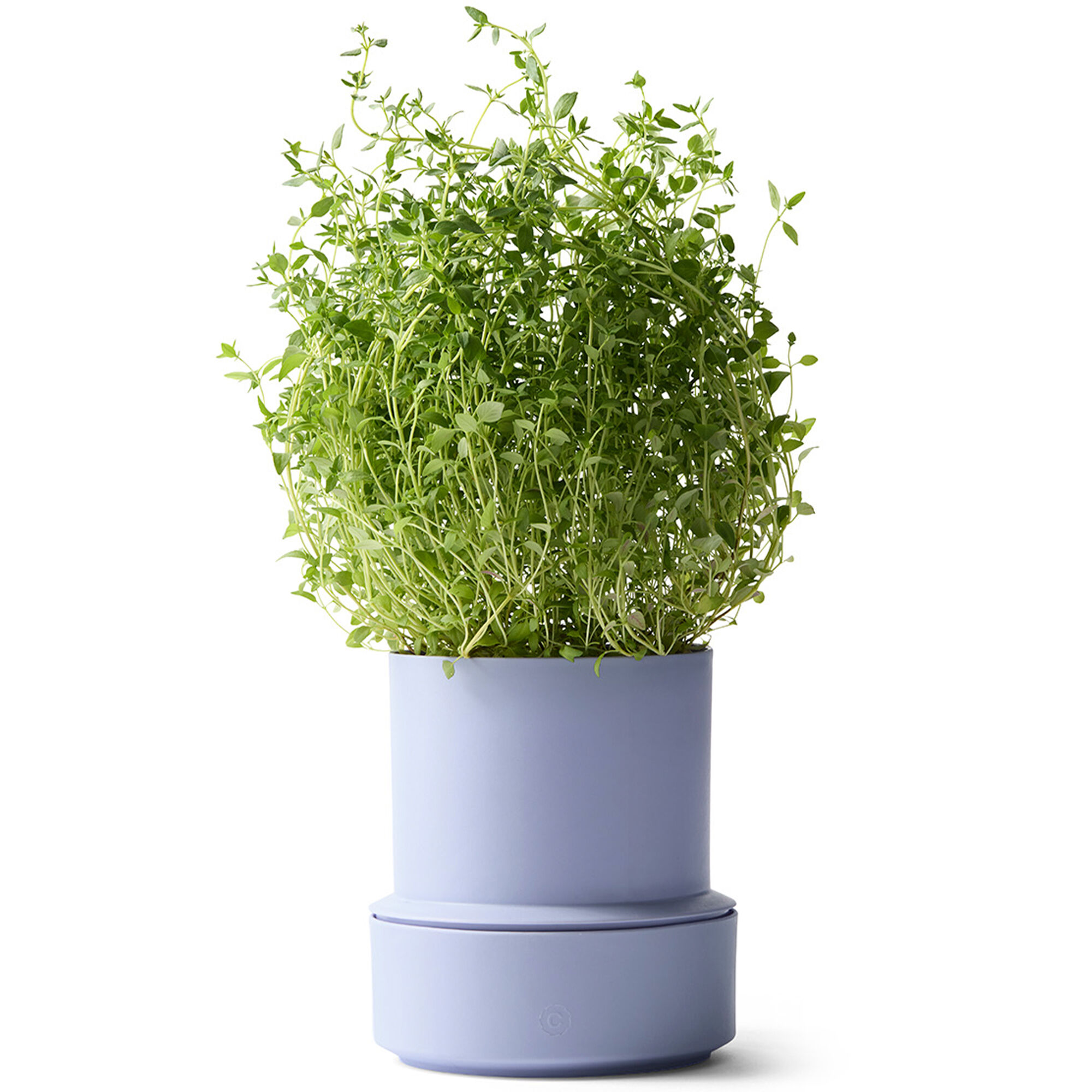 Crushgrind Billund Selvvandings Potte  Lavender