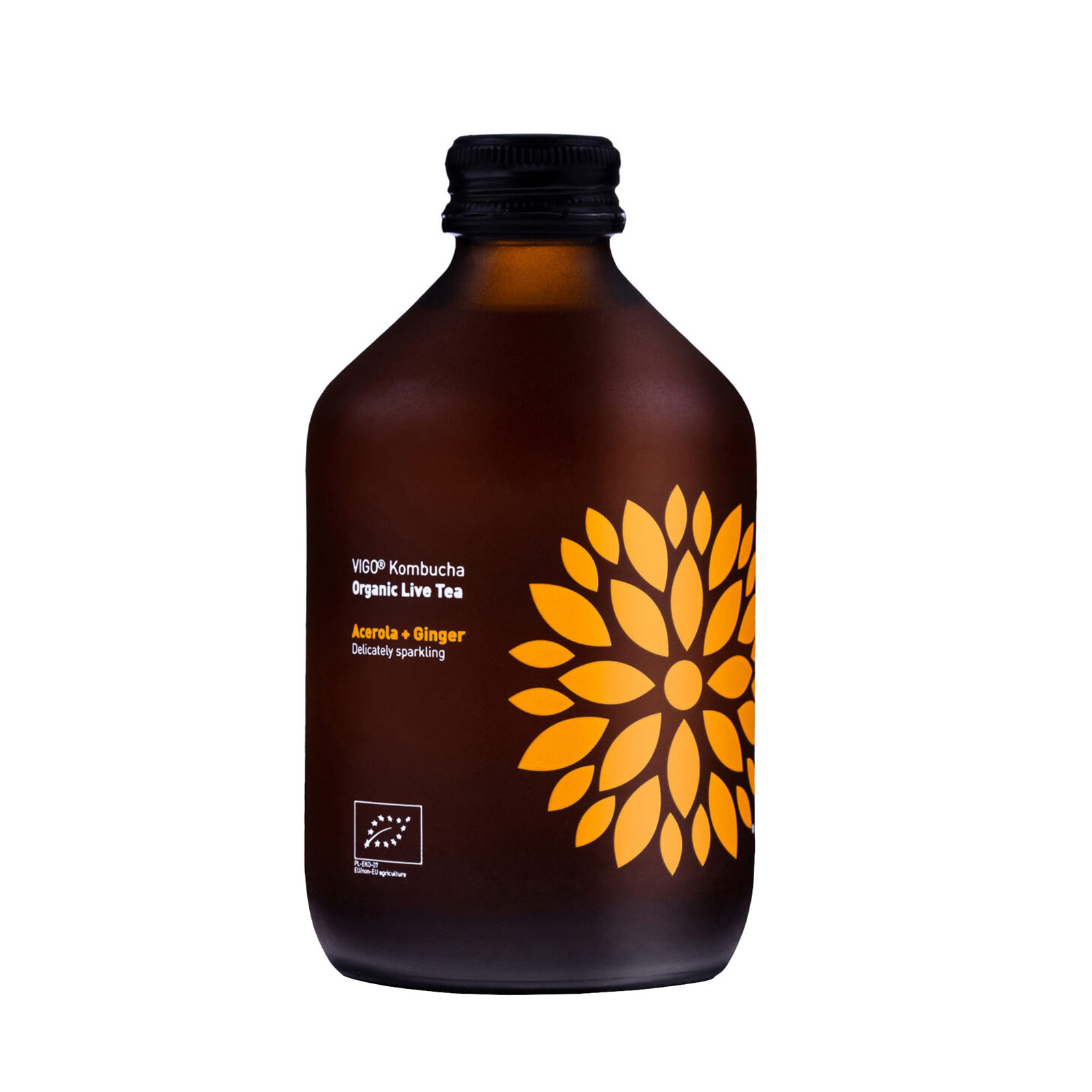 Kombucha Acerola Ginger  økologisk Vigo