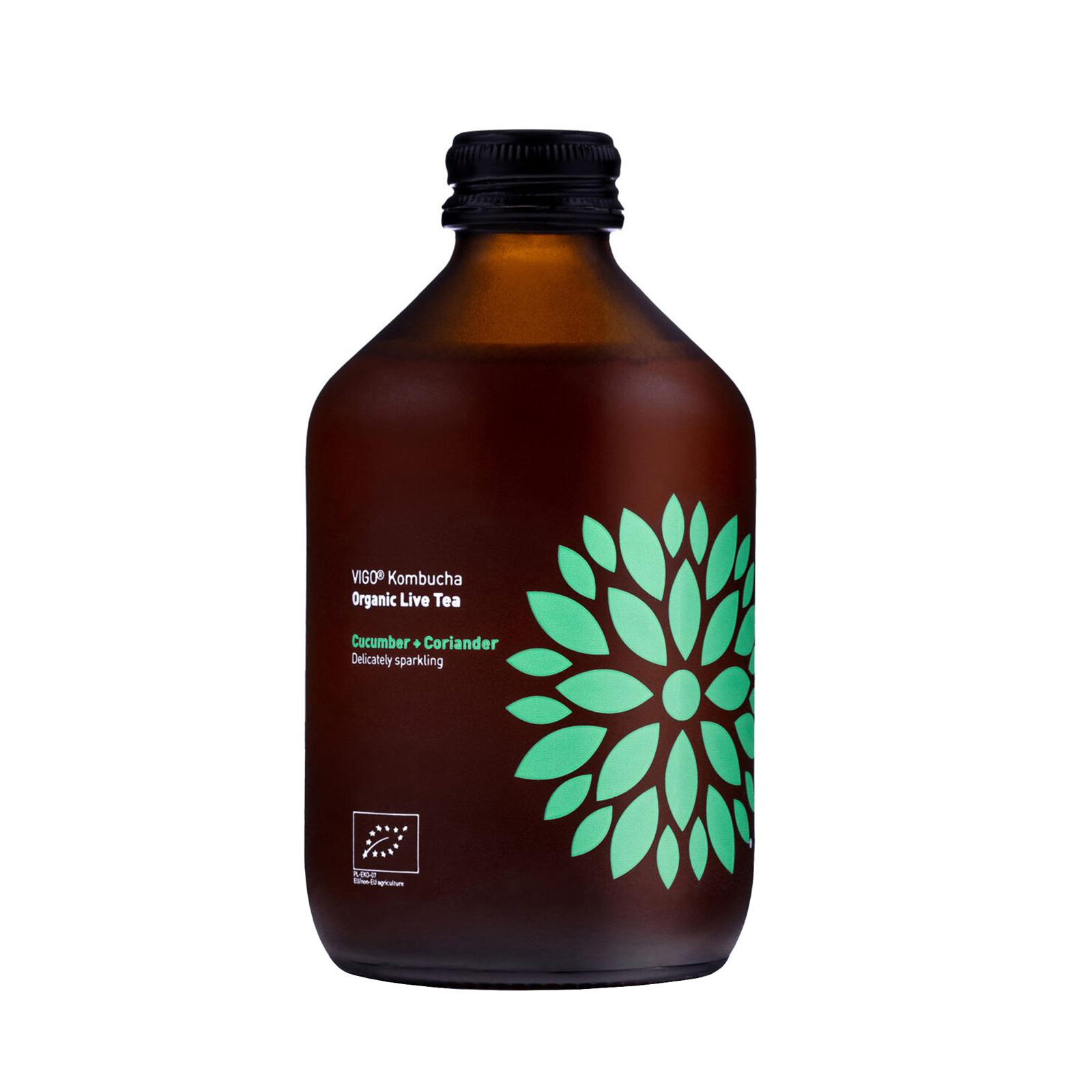 Kombucha Cucumber Coriander  økologisk Vigo