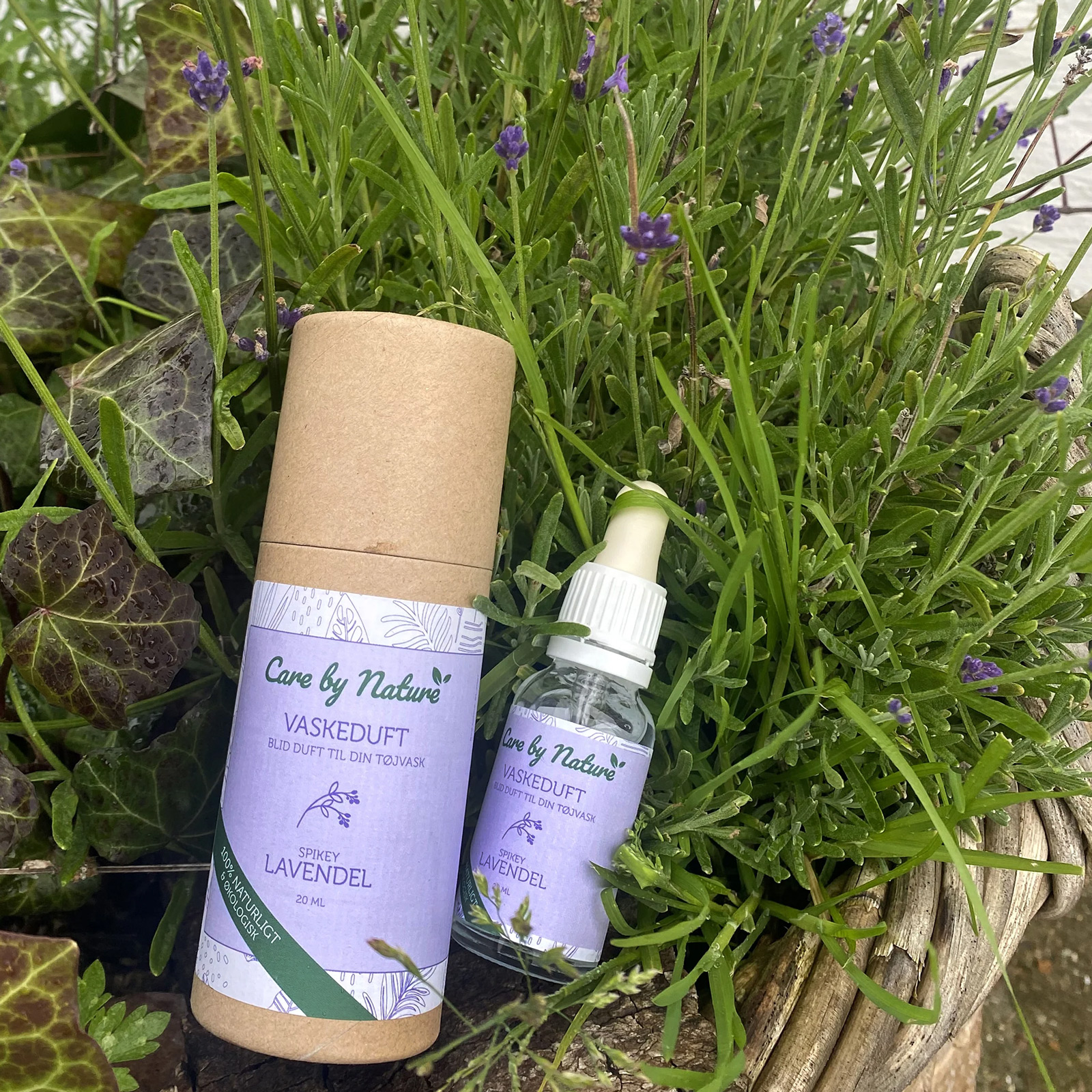Vaskeduft Spikey Lavendel