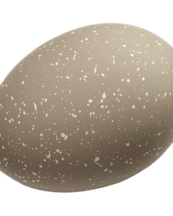 Cooee Design æg Deco Påskepynt  Sand