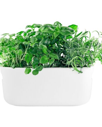 Eva Solo Selvvandende Herb Organiser Hvid