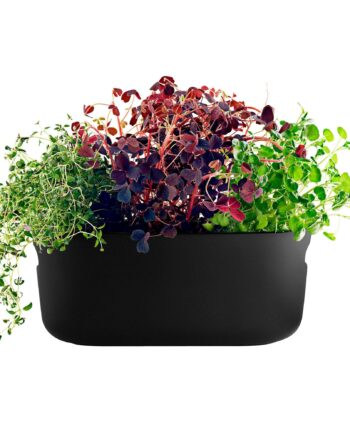 Eva Solo Selvvandende Herb Organiser Sort