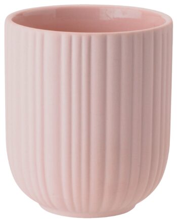 Knabstrup Verda Kop 25 Cl  Rose
