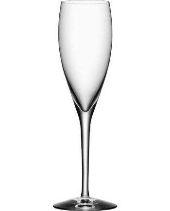Orrefors More Champagneglas 15cl    Stk