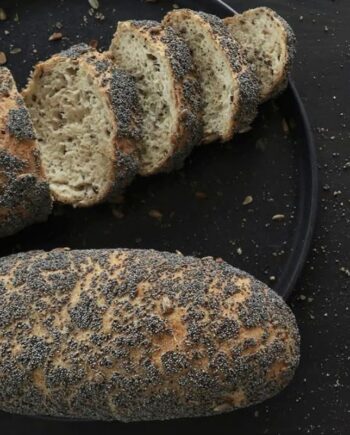 Skagensbrød  Glutenfri  Laktosefri Og økologisk